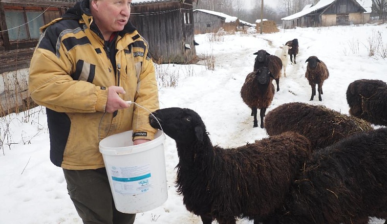 Владов ковчег