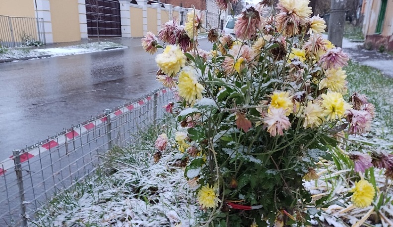 На выходных в Калужской области ожидается потепление