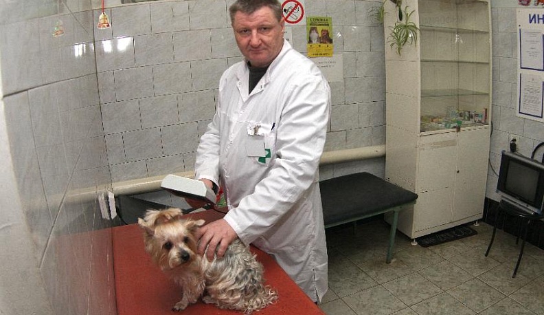 Айболиты современности