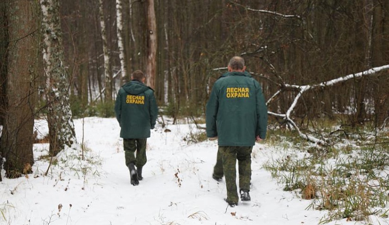 Калужанам предлагают стать общественными лесными инспекторами