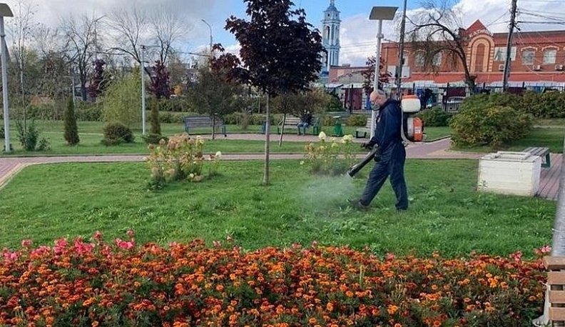 К Первомаю территорию Калуги обработают от клещей