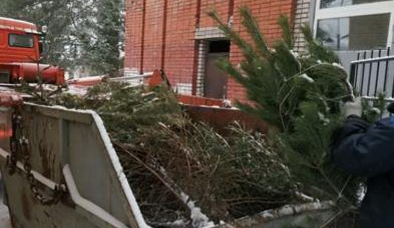 В Обнинске пройдет новогодняя экологическая акция по сбору ёлок