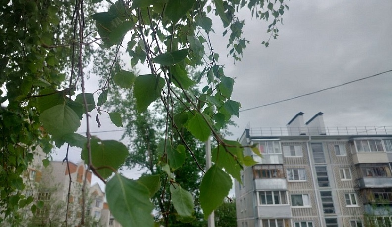 Холодные дни в Калужской области продолжаются