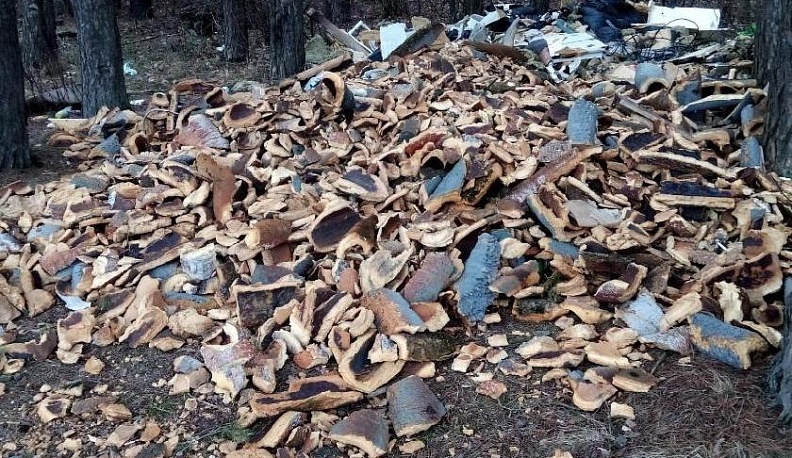 Калужане завалили мусором территорию у родника «Святой Гремучий»