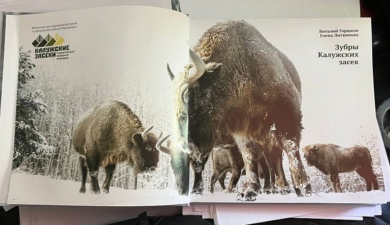 В Калужской области вышла книга про зубров
