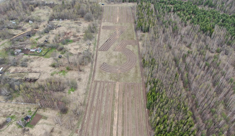 «Сад памяти» в форме числа «75» появился и в Кировском районе 