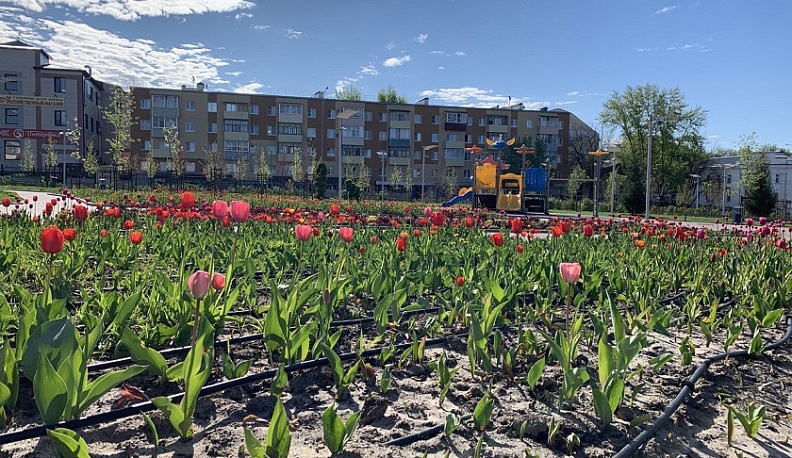 В Калужской области будет облачно и тепло 18 мая