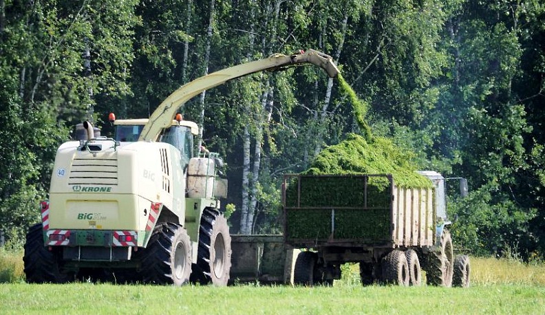 Урожайный август