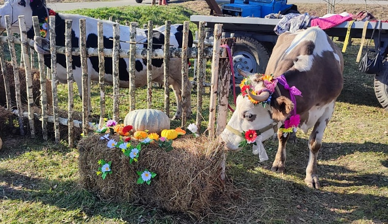 В Людиновском районе отметили день работников сельского хозяйства и перерабатывающей промышленности