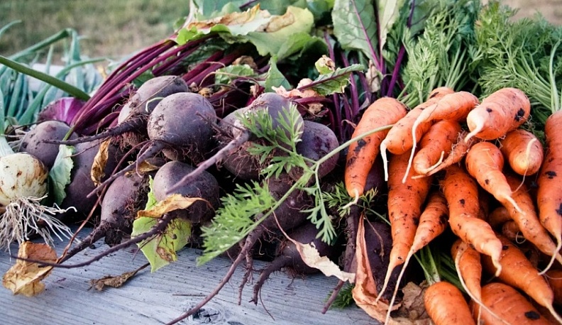 В Калужской области овощи подорожали на 65%