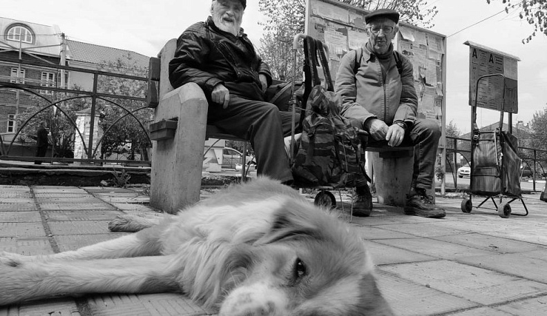 Вечность в кадре