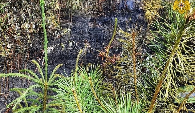 Из-за аномальной жары в Калужской области начались ландшафтные пожары