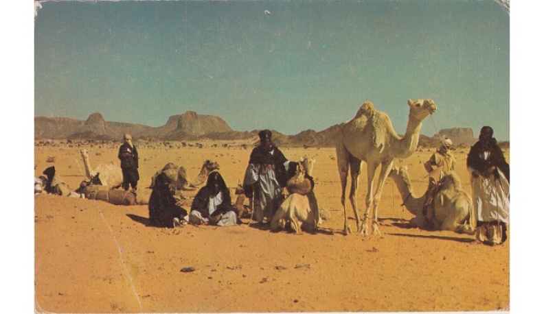 Мадам Сахара