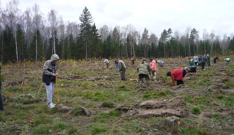 Что оставим нашим детям?