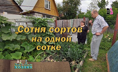 Сотня сортов на одной сотке
