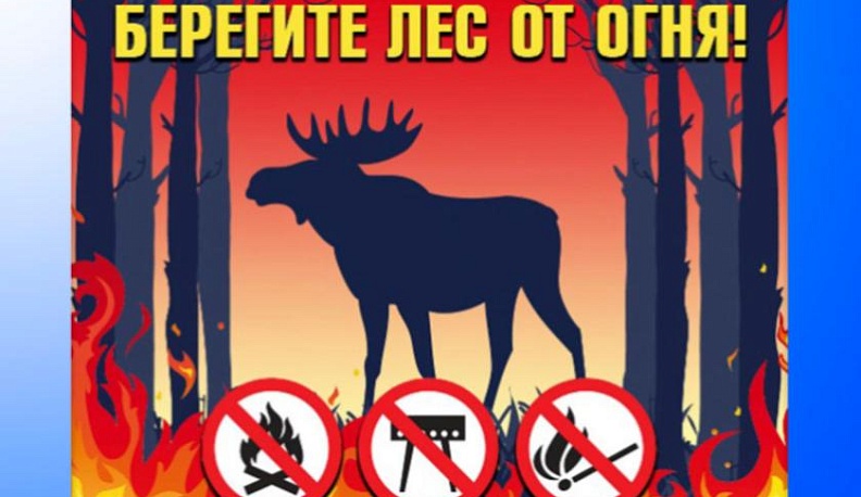 Берегите лес от огня!