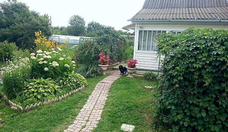 Двое калужан обокрали сарай одного из дачных участков