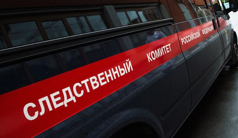 СК возбудил 48 дел в отношении насильников-педофилов