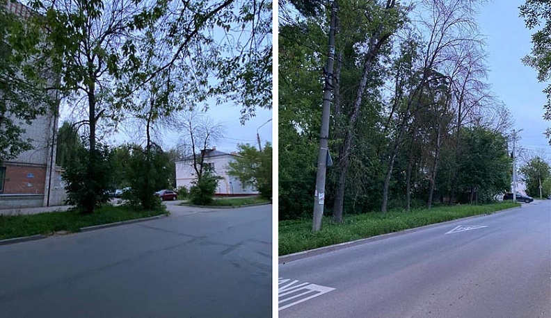 Владислав Шапша поддержал идею высадить в Калуге новые деревья