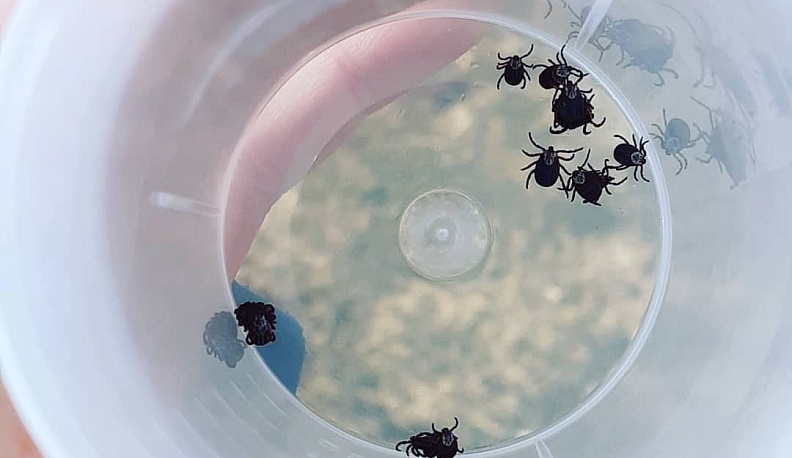 Мелкие большие пакостники