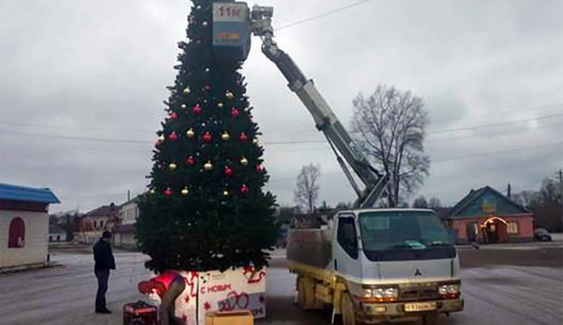 В Износковском районе впервые за 30 лет установят сразу две новогодние елки