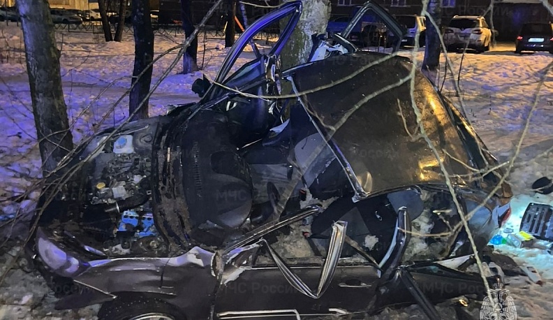 В Калуге «Лада Гранта» влетела в дерево