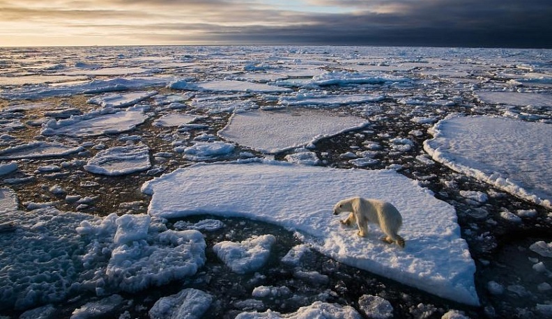 Арктика: взгляд сквозь время