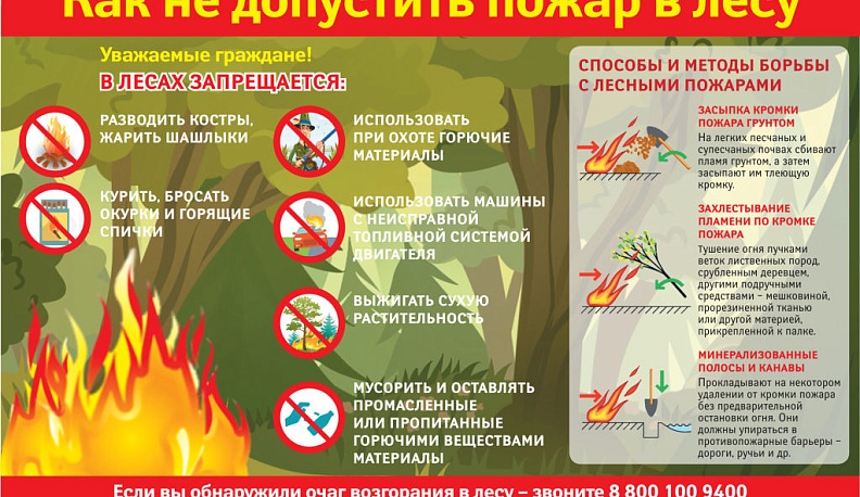 Калужских детей приглашают принять участие в конкурсе рисунков «Охрана лесов от пожаров»