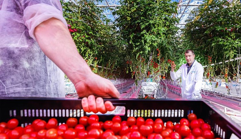 Под искусственным солнцем