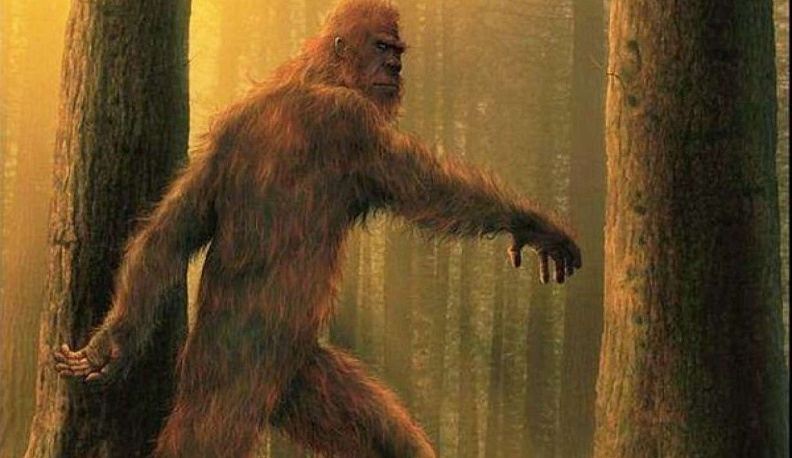 Вспоминая снежного человека