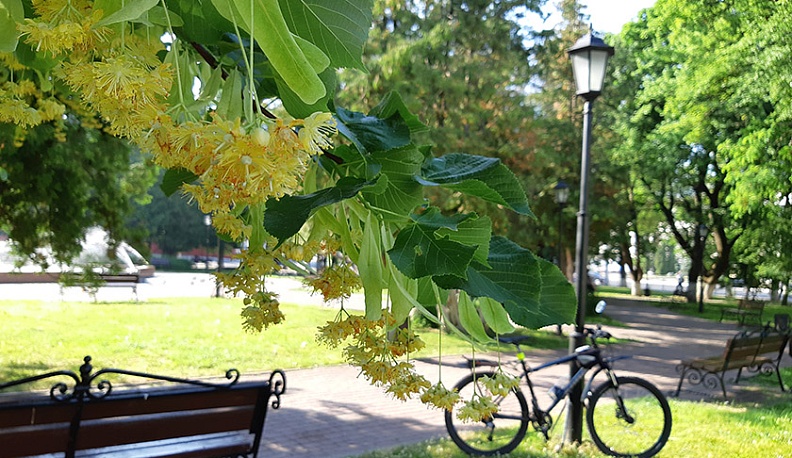 Ой, цветёт калина