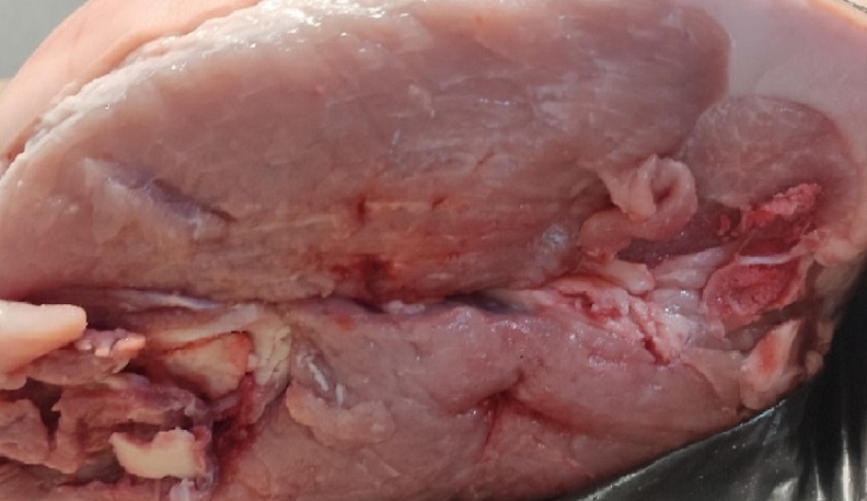 Производство мяса выросло на 9% в Калужской области в 2024 году