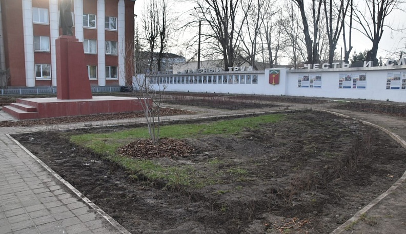 Почти 500 единиц декоративных кустарников высадили у здания администрации в Людинове