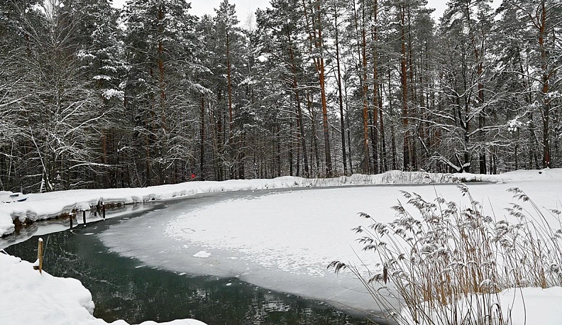 Среда обитания 