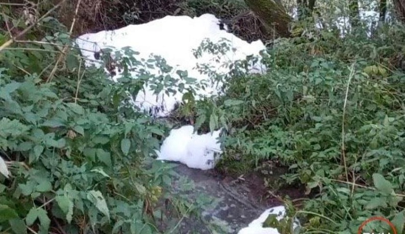 В реку Протву в Боровском районе сбросили мыльные отходы