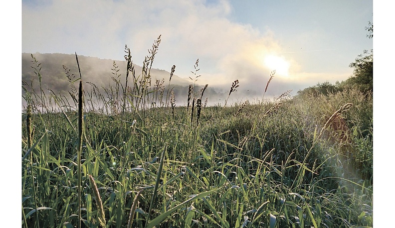 Восход над Окой.