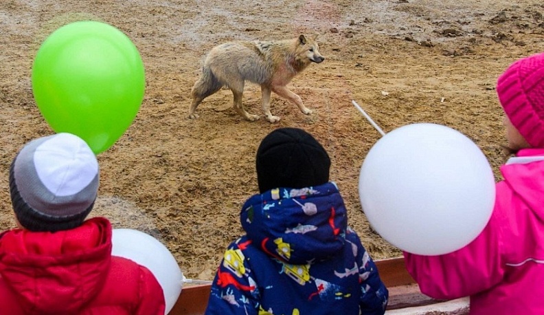 Владислав Шапша побывал в калужском экопарке «Биосфера»