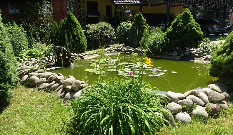 Без труда нет плода