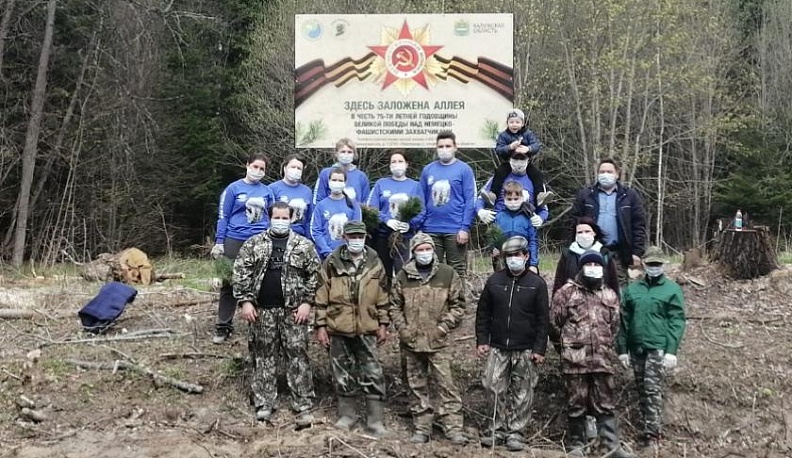 Людиновцы посадили Лес Победы