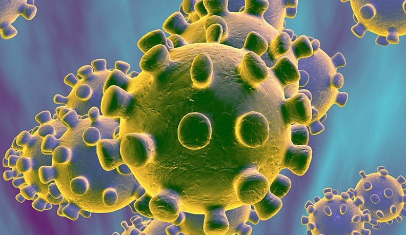 В Калужской области впервые число выздоровевших от коронавируса превысило число заболевших