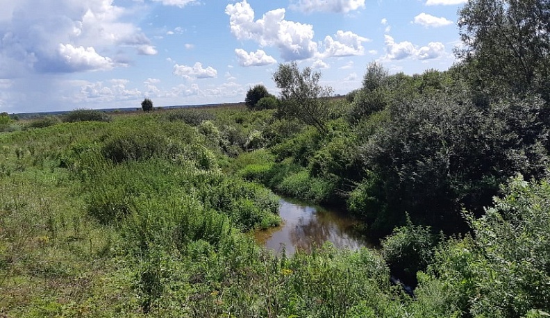 В Дзержинском районе очистят реку Сечна