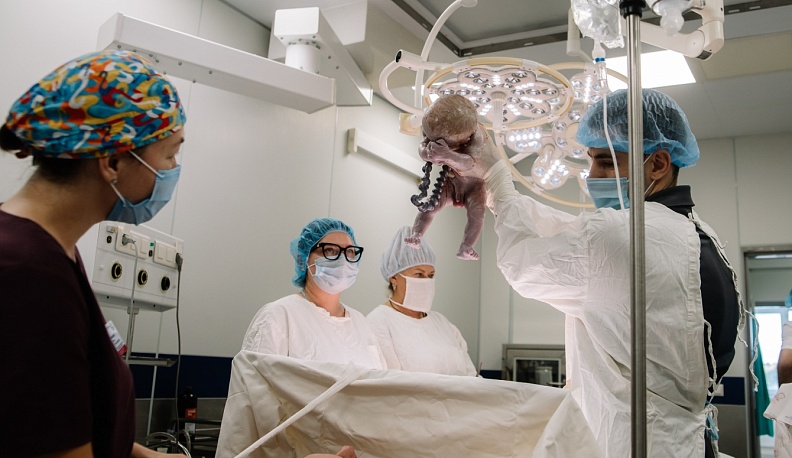 Аисты прилетают сюда