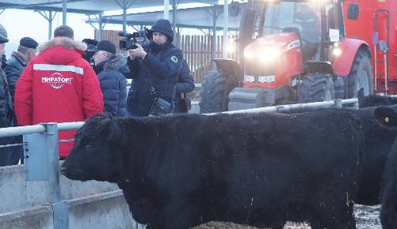 Вместе весело шагать с «Мираторгом»