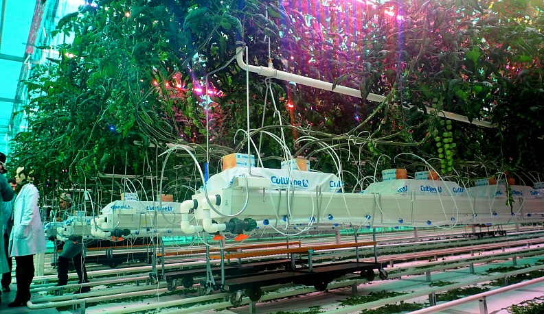 У совершенства нет пределов!