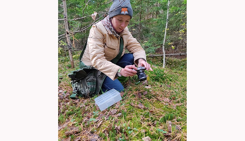 Полоснул по шляпке - получи по шапке?