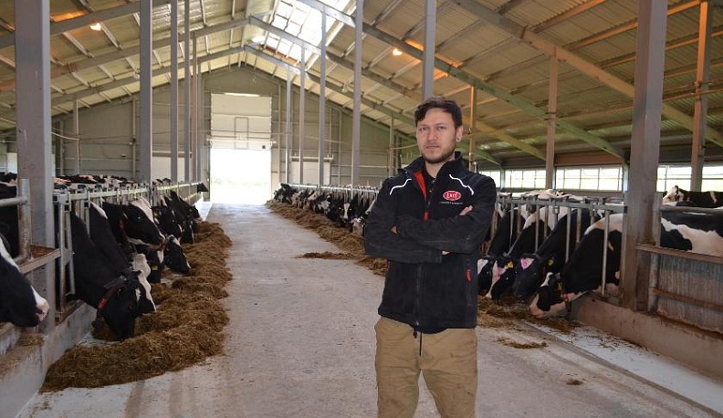 Никогда не устающие помощники