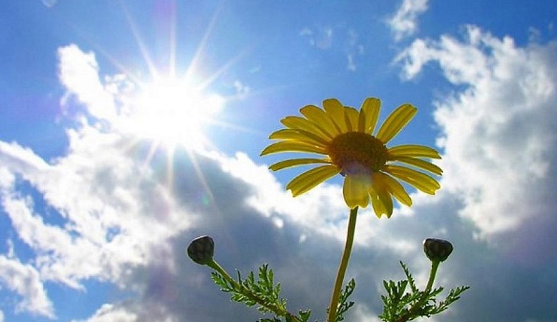 В день проведения Парада Победы калужан ждет комфортная погода