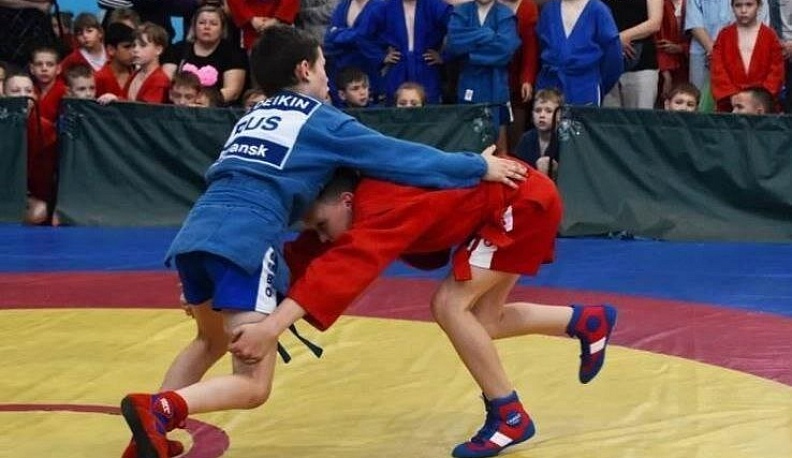 Владислав Шапша предложил ввести занятия самбо на уроках физкультуры в школах Калужской области