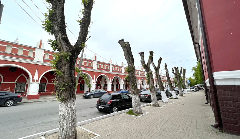 Исторический центр Калуги - улицы Карпова и Театральная. После омоложения от деревьев остались рожки да ножки.