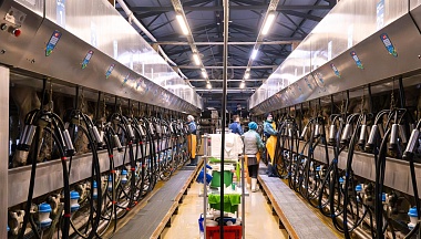 Ульяновский округ